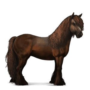 caballo de montar caballo islandés alazán