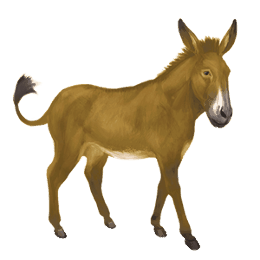 burro marrón