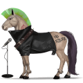 caballo errante punk rock