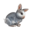 compagnon-lapin.png?226596870