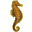 hippocampe.png?sdfksdfhk