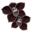 orchidee-noire.png