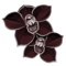 orchidee-noire.png?1106839470