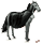 caballo de montar vampiro