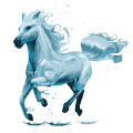 burro elemento de agua