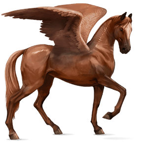 pegaso de montar pura raza española gris tordo