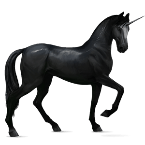 unicornio de montar brumby gris trucha