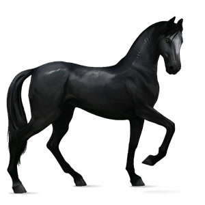caballo de montar tennessee walker negro