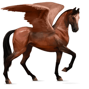 pegaso de montar marwary bayo cereza