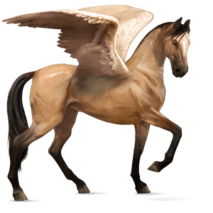 pegaso de montar peruano de paso overo