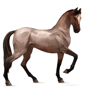caballo de montar hunter irlandés bayo tostado