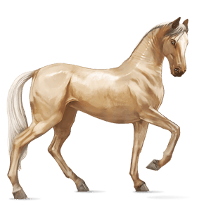 caballo de montar lusitano bayo tostado