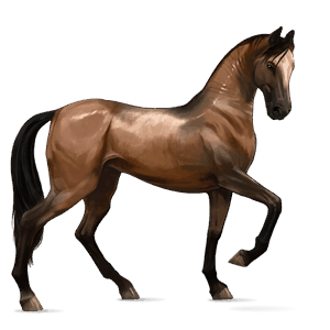 caballo de montar peruano de paso roano