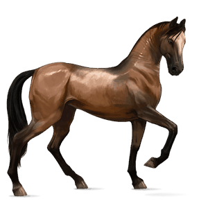 caballo de montar tennessee walker bayo tostado