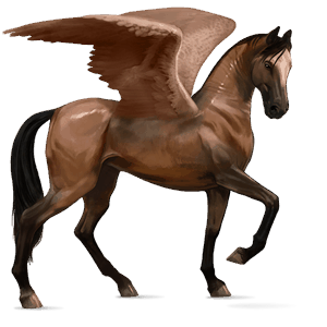 pegaso de montar silla francesa bayo