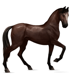 caballo de montar lusitano bayo