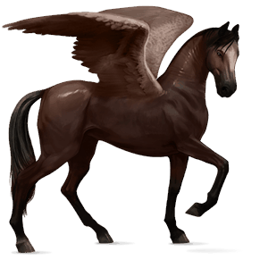 pegaso de montar cuarto de milla bayo tostado