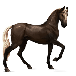 caballo de montar tennessee walker alazán tostado crines lava