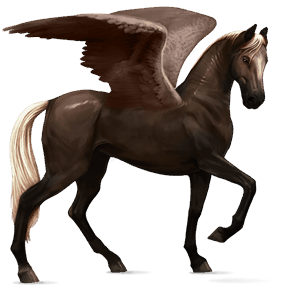 pegaso de montar bayo cereza