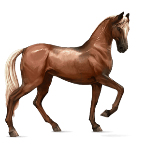 caballo de montar akhal-teke alazán crines lava