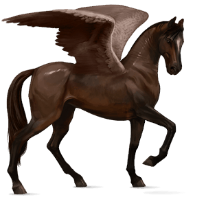 pegaso de montar peruano de paso bayo