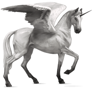 unicornio de montar alado pura raza española gris claro