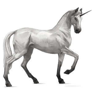 unicornio de montar pura sangre gris tordo