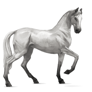 caballo de montar lusitano gris claro
