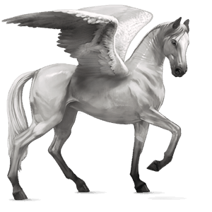 pegaso de montar lusitano gris claro