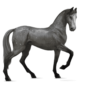 caballo de montar gris claro