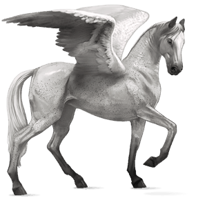 pegaso de montar pura raza española gris claro