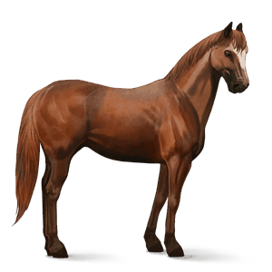 caballo de tiro caballo de ban'ei alazán