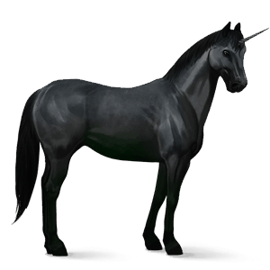 unicornio de montar camargue negro