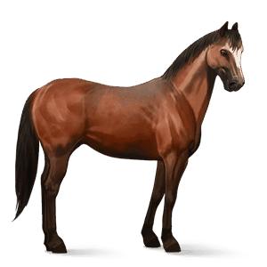 caballo de montar mustang alazán