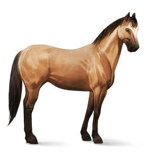 caballo de montar pura raza española gris claro
