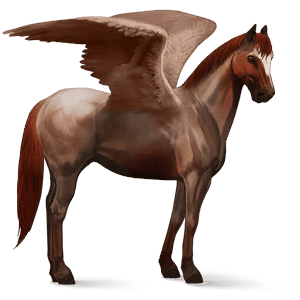 pegaso de montar akhal-teke alazán tostado