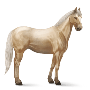 caballo de montar cuarto de milla palomino