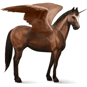 unicornio de montar alado cuarto de milla bayo
