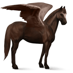 pegaso de montar silla francesa alazán tostado