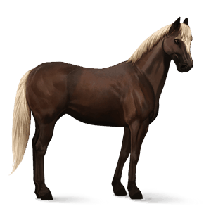 caballo de montar alazán tostado crines lava