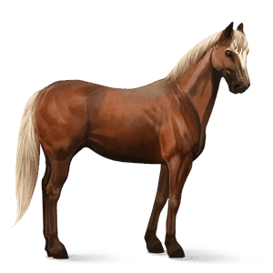 caballo de montar tennessee walker alazán