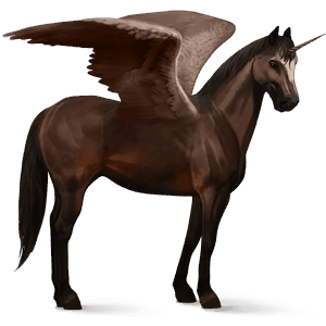 unicornio de montar alado kwpn bayo tostado