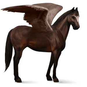 pegaso de montar lusitano bayo tostado