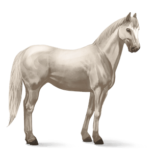 caballo de montar cuarto de milla palomino