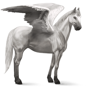 pegaso de montar pura raza española gris claro