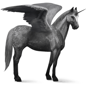 unicornio de montar alado shagya arabian bayo