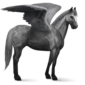 pegaso de montar silla francesa gris tordo