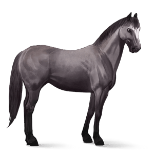 caballo de montar alazán