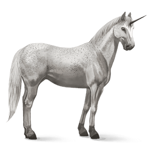 unicornio de montar pura raza española gris tordo