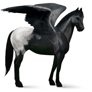 pegaso de montar lusitano bayo tostado